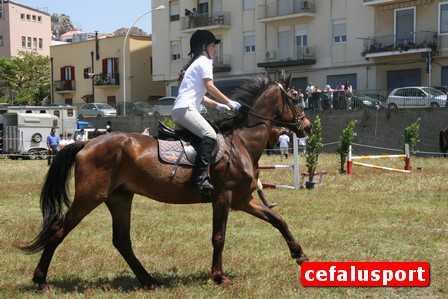100602_Ippoclub 289_tn.jpg